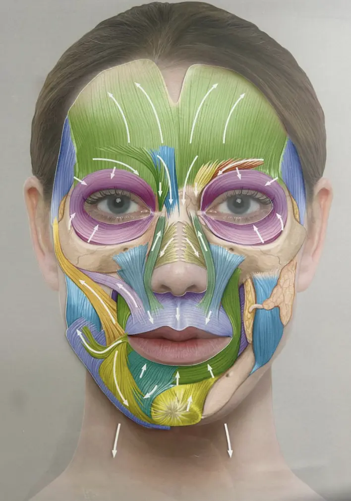 Botox (Neurotoxin) Treatment